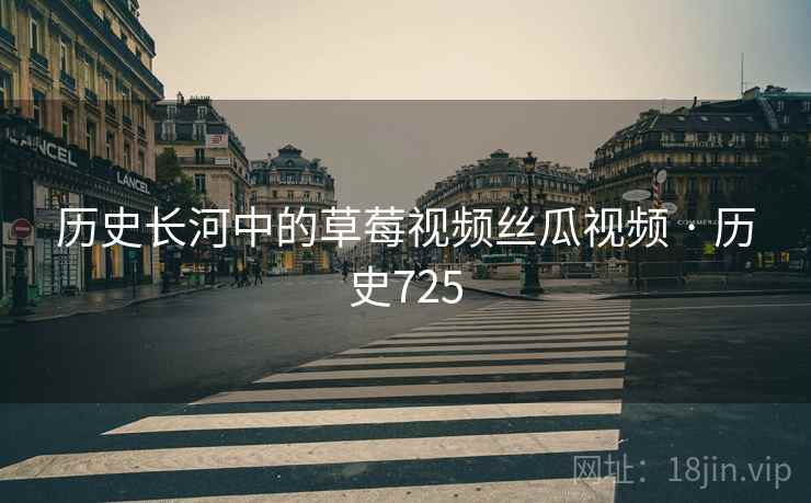 历史长河中的草莓视频丝瓜视频 · 历史725  第2张